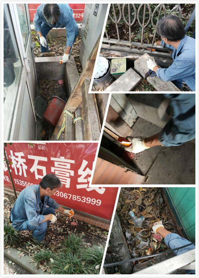 88858cc永利官网市场开展冬季灭鼠