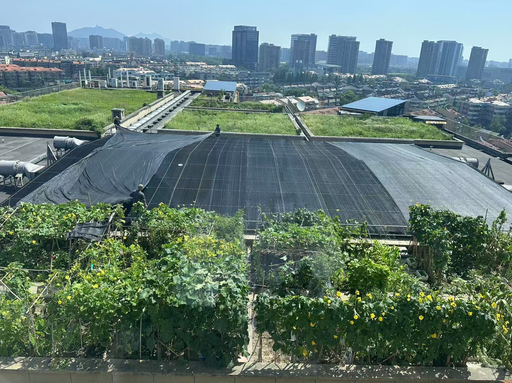 水晶城巧施”遮阳术“，为节能降耗注入清凉动力