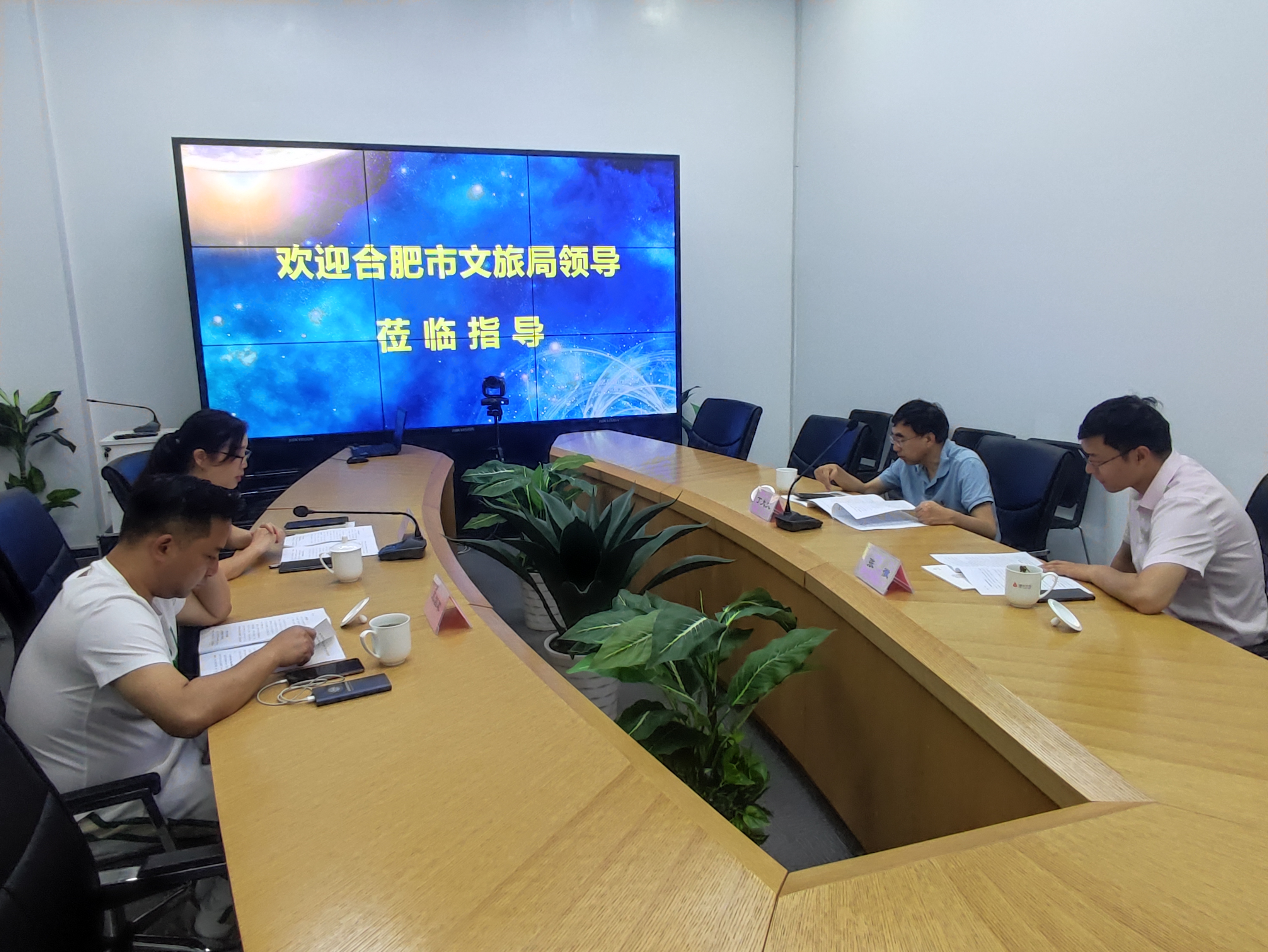 合肥市文化旅游局丁大文处长一行莅临88858cc永利官网文创集团调研