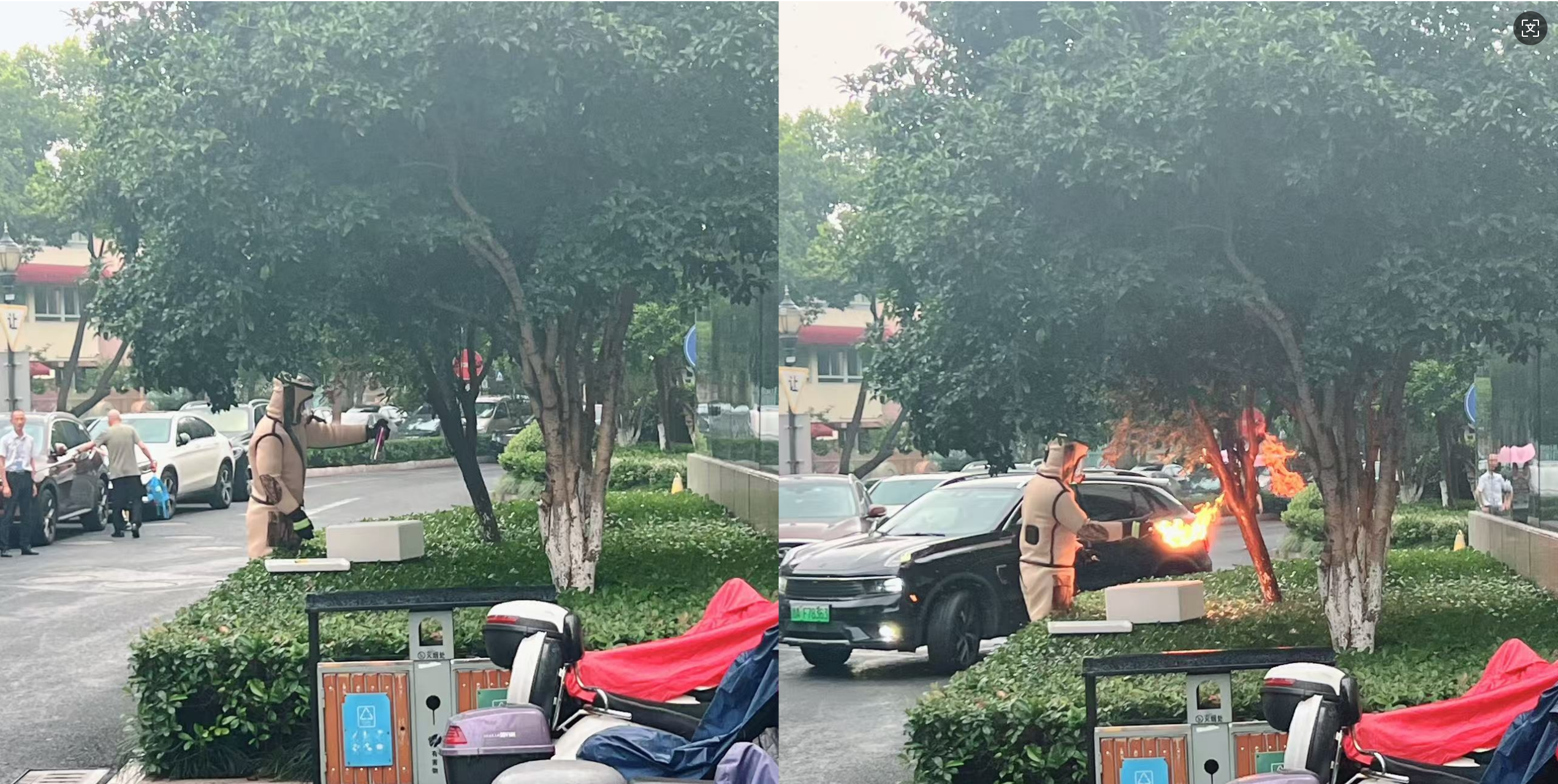 清静守护零距离，水晶城快速处置惩罚外围蜂群隐患