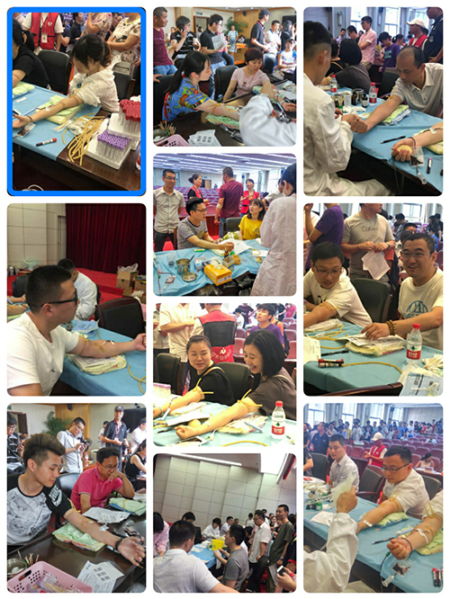 2017070388858cc永利官网文创集团党总支加入无偿献血运动 (2).jpg
