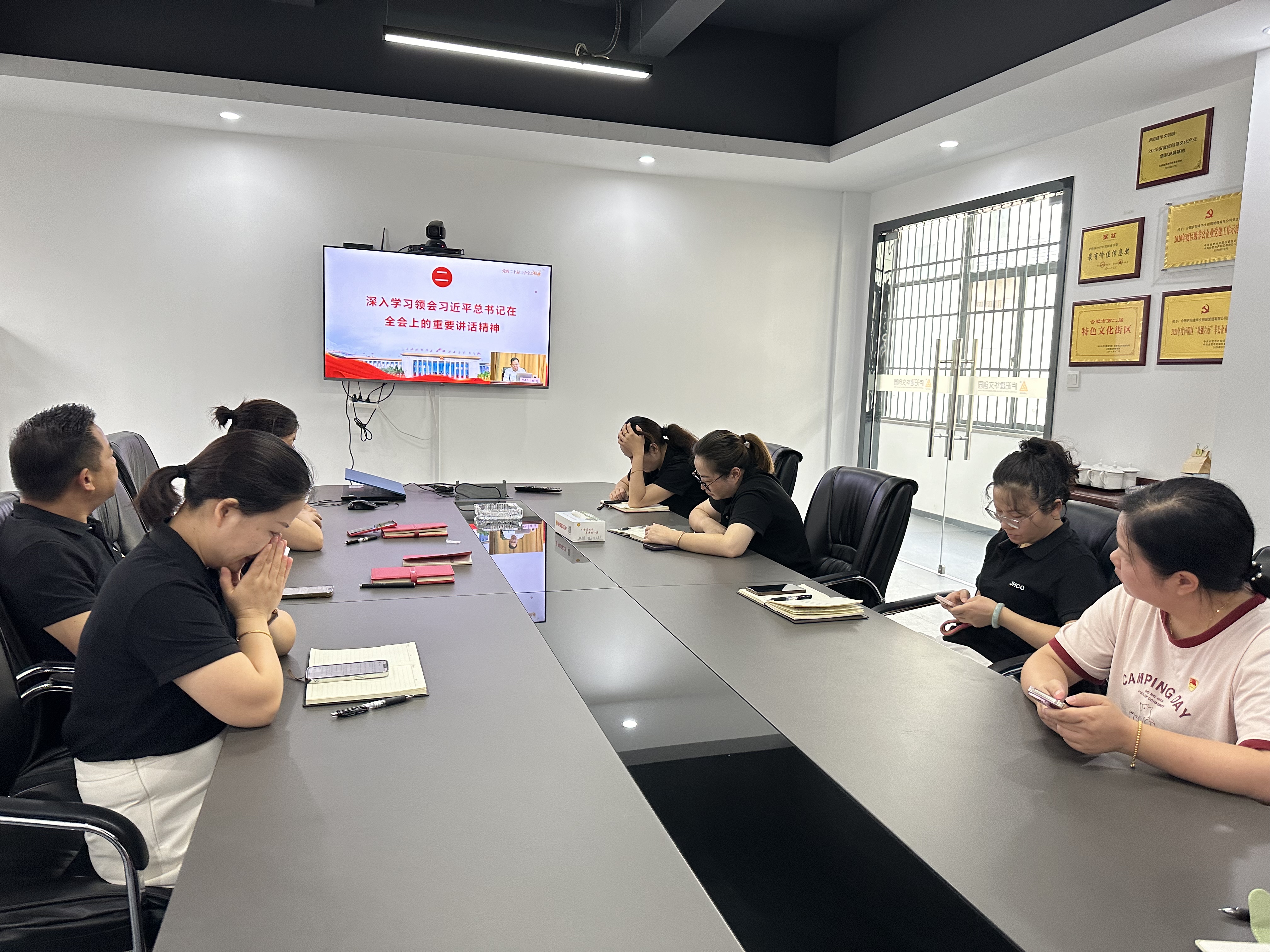 庐阳88858cc永利官网文创园党支部起劲组织收看“举旌旗·送理论”精神树模宣讲运动